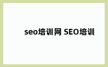 seo培训网 SEO培训